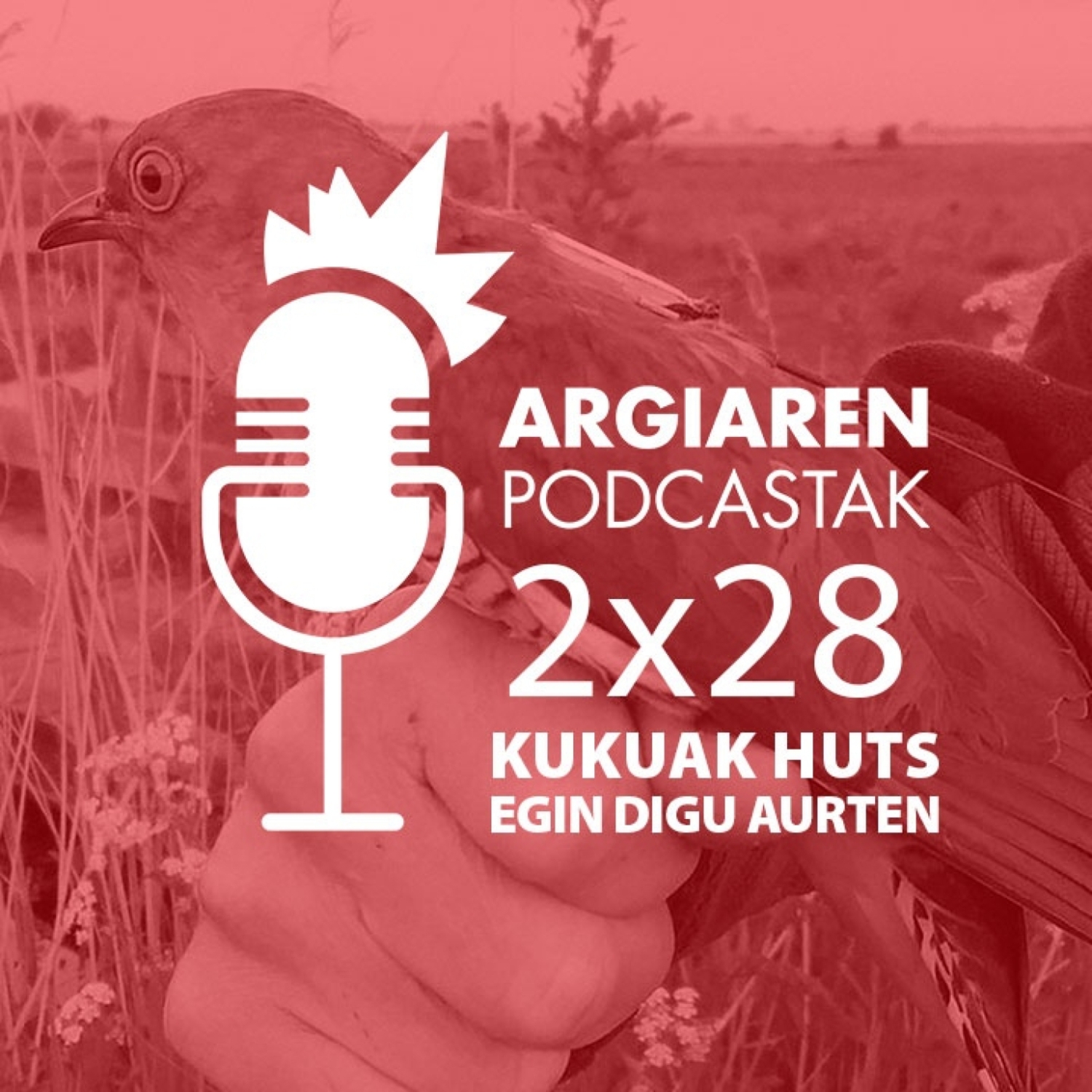 PODCAST 2x28 | Kukuak huts egin digu aurten: ezin ote dugu ezer egin haren kanta berreskuratzeko?