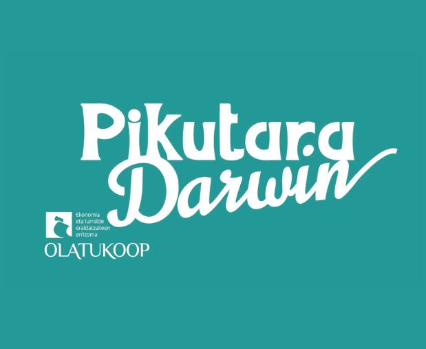 Pikutara darwin #3